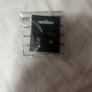 Guldiga stjärnörhängen från Pilgrim - Säljer ett set med små örhängen i form av stjärnor från Pilgrim. Örhängena är guldiga och har en minimalistisk design, perfekta för att addera lite extra till din look. Kommer i originalförpackning.