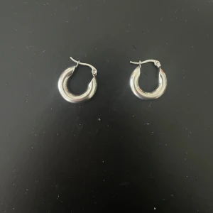 örhängen - Säljer nu mina silver färgade örhängen då jag inte använder de som mycket längre. Vet inte vart de kommer ifrån men inga skador eller så. Rostfria!! Pris kan diskuteras 