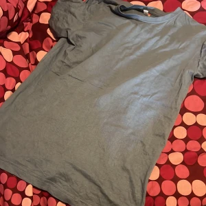 Ljusblå t-shirt från Clique, S - Enkel och stilren ljusblå t-shirt från Clique i storlek S. T-shirten har klassisk passform med rund hals och korta ärmar. Perfekt basplagg i mjuk bomull som funkar till det mesta. Snygg att matcha med jeans eller shorts.