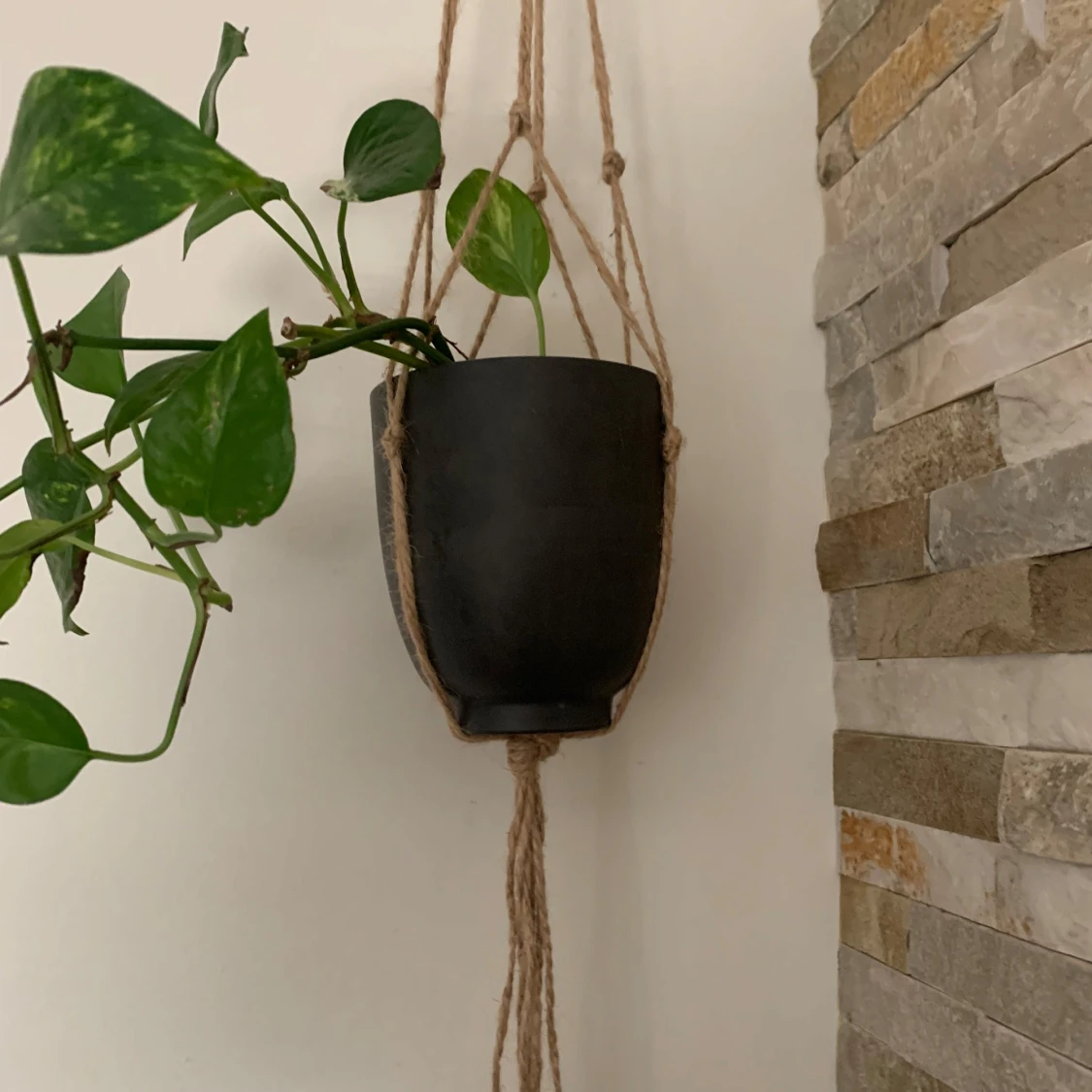 Brun ampel / växthängare snygg inrednings detalj . Perfekt att hänga i fönster eller vägg .  - 3