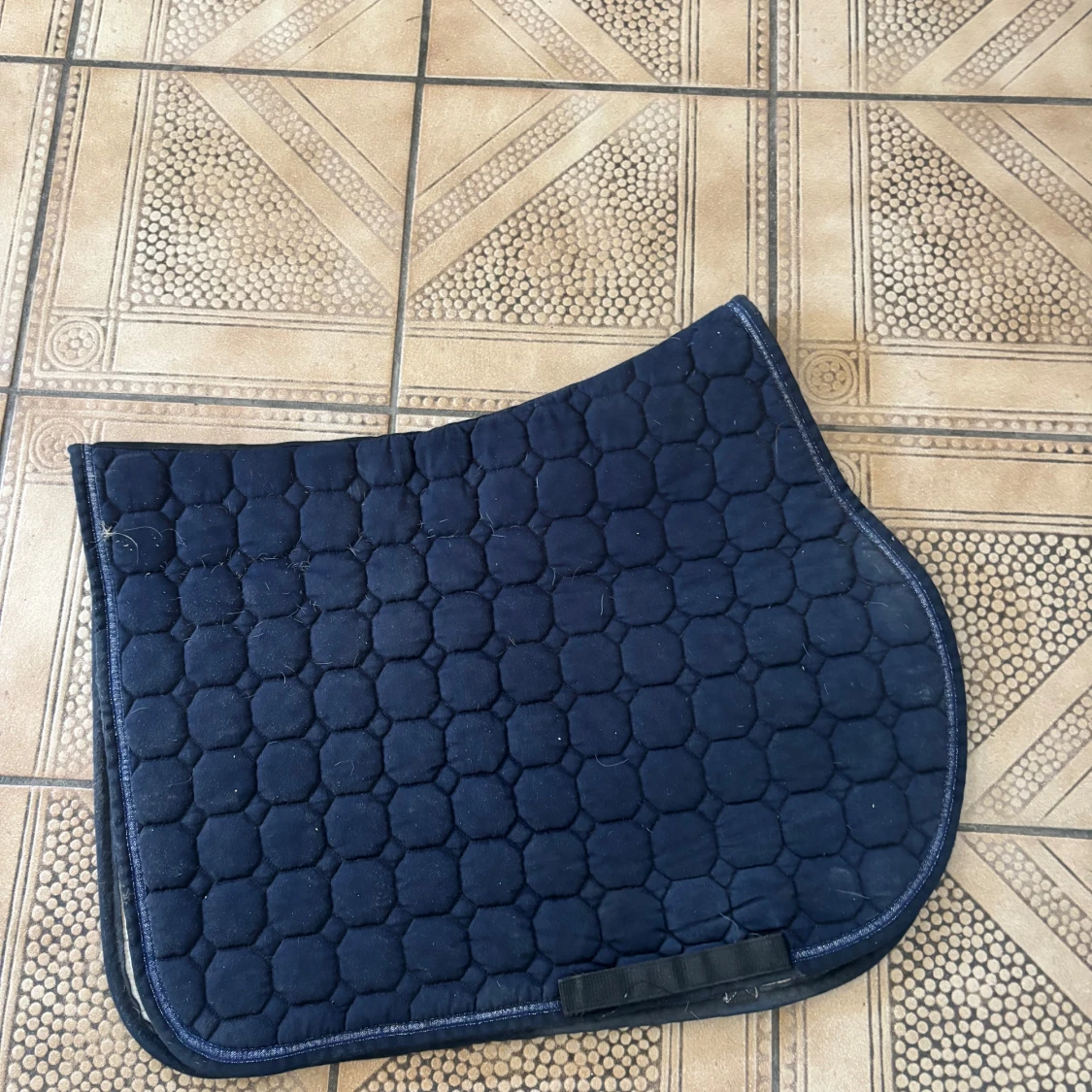 Equiline schabrak  - 2