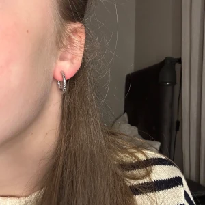 Silvriga örhängen från Edblad - Silver ringar från Edblad!