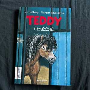 Teddy i trubbel - En charmig och spännande bok om hästen Teddy som hamnar i knipa. Perfekt för unga läsare med korta kapitel, stor stil och många bilder. Följ Elsa och Teddy i stallet när allt plötsligt går fel. Passar dig som gillar djur och lättlästa berättelser.