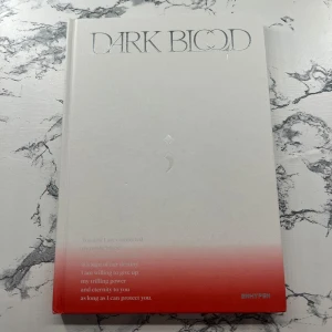 Enhypen album  - I bra skick, var lite skadad i facket när jag köpte 