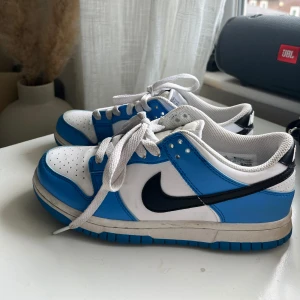 Nike Dunk Low blå och vita sneakers - Nike Dunk Low sneakers i fräscha blå och vita färger. Använda ett par gånger. 