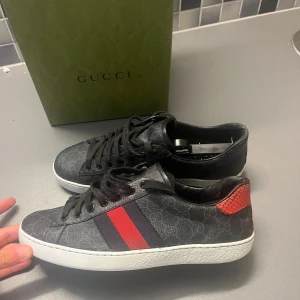 Gucci ace skor  - Skick 7-10 , box ingår 
