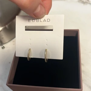 Guldiga örhängen från Edblad - Ny pris 450💗 Använder inte längre pga jag bytt till silver 