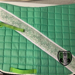 NYTT SCHABRAK  - Helt nytt schabrak i färgen grön💚storlek full! Säljs då jag tyvärr aldrig använt de💕