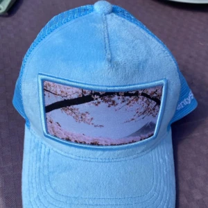 Blå keps från TwentySeven med foto - Snygg ljusblå keps från TwentySeven med mesh på sidorna och ett fototryck av körsbärsblommor framtill. Kepsen har böjd skärm och mjukt syntetmaterial på framsidan, perfekt för dig som gillar unika detaljer och streetstyle.