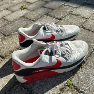 Nike Air Max - Sparsamt använda Nike skor med enstaka små smuts fläckar, utöver det jättefint skick o ser ut som nya! Orginal låda ingår inte!