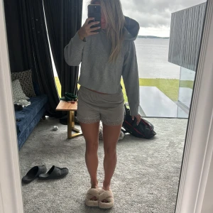 Grå hodie  - Grå hodie i storlek s från zara 