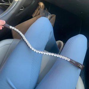 Jag står för frakt och pris kan sänkas vid snabb affär - Säljer ett brunt pannband från riding house i storlek ponny. Köpt på Falsterbo horse show 2022 och är i nyskick och tillverkas inte mer.