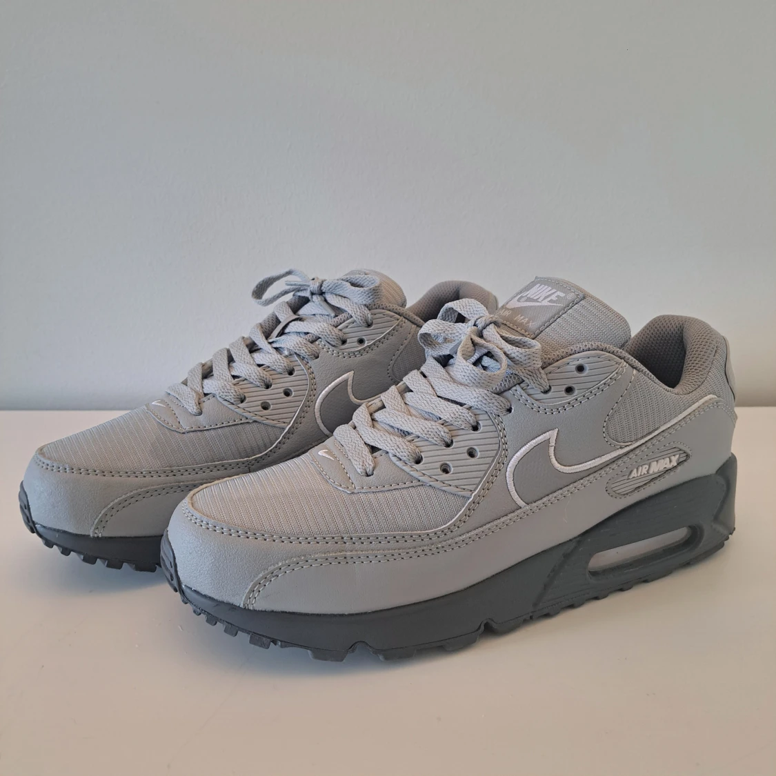 Nike Air Max 90 (Sällsynt Modell)