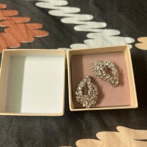 Glittriga örhängen från Lily and Rose - Säljer ett par droppformade örhängen från Lily and Rose, täckta med gnistrande stenar i silverfärg. Perfekta för att ge en extra touch till din look. Kommer i originalask.