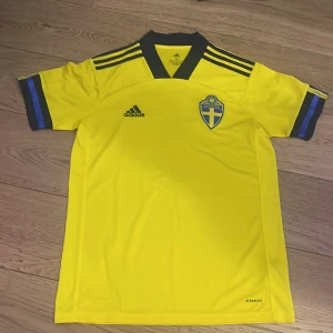 Svenska landslagets fotbollströja och skill socks - Gul kortärmad fotbollströja från Adidas med blå detaljer och Sveriges landslagsemblem på bröstet. Tröjan har svarta Adidas-ränder på axlarna och blå muddar på ärmarna. Perfekt för dig som vill stötta Sverige på match! Man får Även med skill socks storlek S om man köper