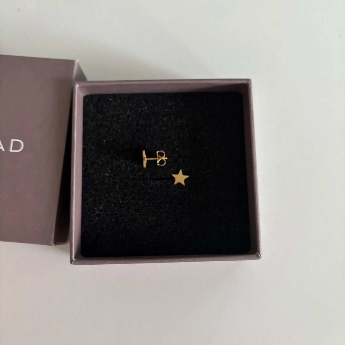 Guldstjärna örhängen från Edblad - 1