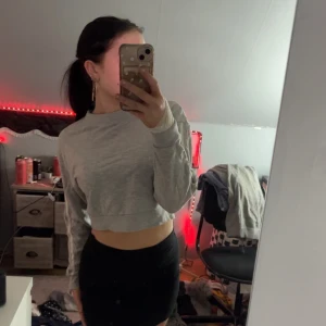 Grå Cropped tröja - En grå croppad tröja med inget fel