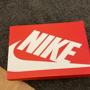 Dunks two tone grey  - Ett par snygga dunks som har sett bättre dagar. Helt okej skick därav priset! Hör av er vid funderingar. Står som vanligt inte för postens slarv!!
