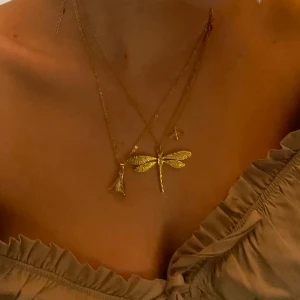 Trollslända halsband  - Ett av få exemplar och jätte unik, trollslända halsband ❣️ rostfritt 