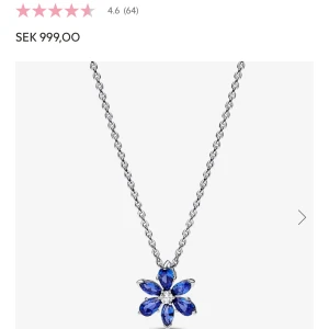 Pandora halsband - Pandora halsband helt ny. Köpte men tyckte inte om, har tyvärr inte paketet så kunde inte returnera men kan fixa ett paket. Skriv för intresse eller riktiga bilder🌸🌸