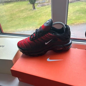 Nike tns - Beställde dom så var dom för små