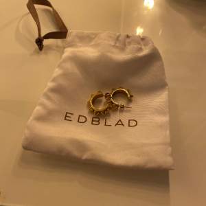 Trendiga guldiga Edblad örhängen i nyskick💛