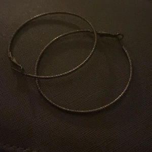 Örhängen  - Säljer ett par stora ring örhängen, har aldrig kommit till användning 