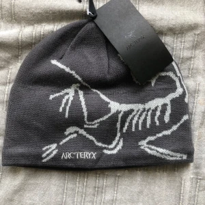 Arcteryx beanie - unisex and onesize gray and very comfortable trendy/fashionable/gorpcore