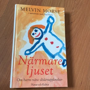 Bok - Bra bok om barns nära döden upplevelser 