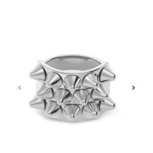 Jag säljer mina fina edblad ring i silver då jag bytt till guld😋 topp skick! strl 17.5