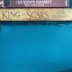 King of scars av Leigh Bardugo, stor pocket. Inte läst en endaste gång, alltså i nyskick