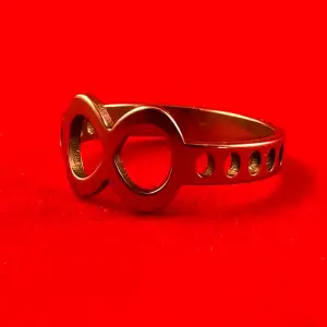 En ring i rostfritt stål med en diameter på ca 16 mm. 