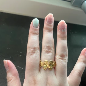 Ring  - En ring från pilgrim jättefin!! Och knappt använd 399 kr kostar den ny. Men säljer för 200 kr🥰