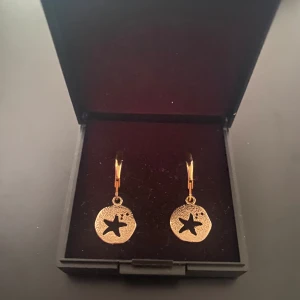 Hängande örhängen med snäckor - Snäckor 