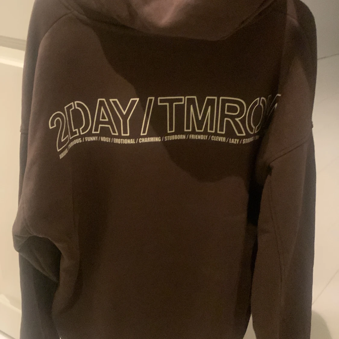 En helt vanlig hoodie  - 91