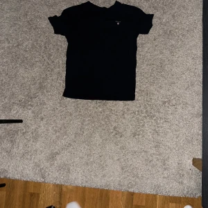 Gant tshirt - Gant tshirt i bra skick men använd?