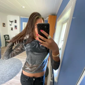 Glittrig festtopp  - Glittrig genomskinlig festtopp från okänt märke då lappen är borta men skulle säga att den passar S/XS