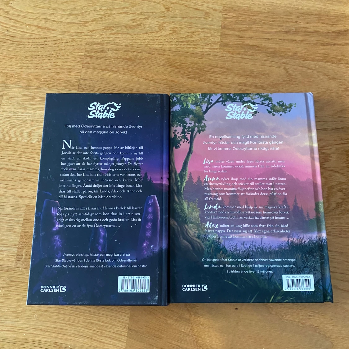 Star stable böcker  - 91