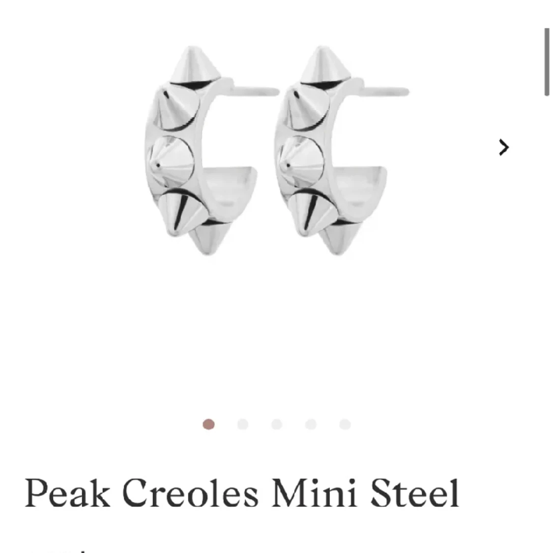 Edblad örhängen ( mini size ) - 91