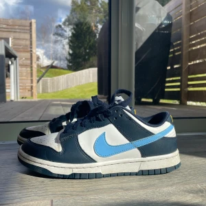 Nike skor - Fina skor i bra skick 