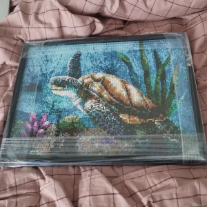 Ny gjort tavla med ram på - Ny gjort tavla med ram på