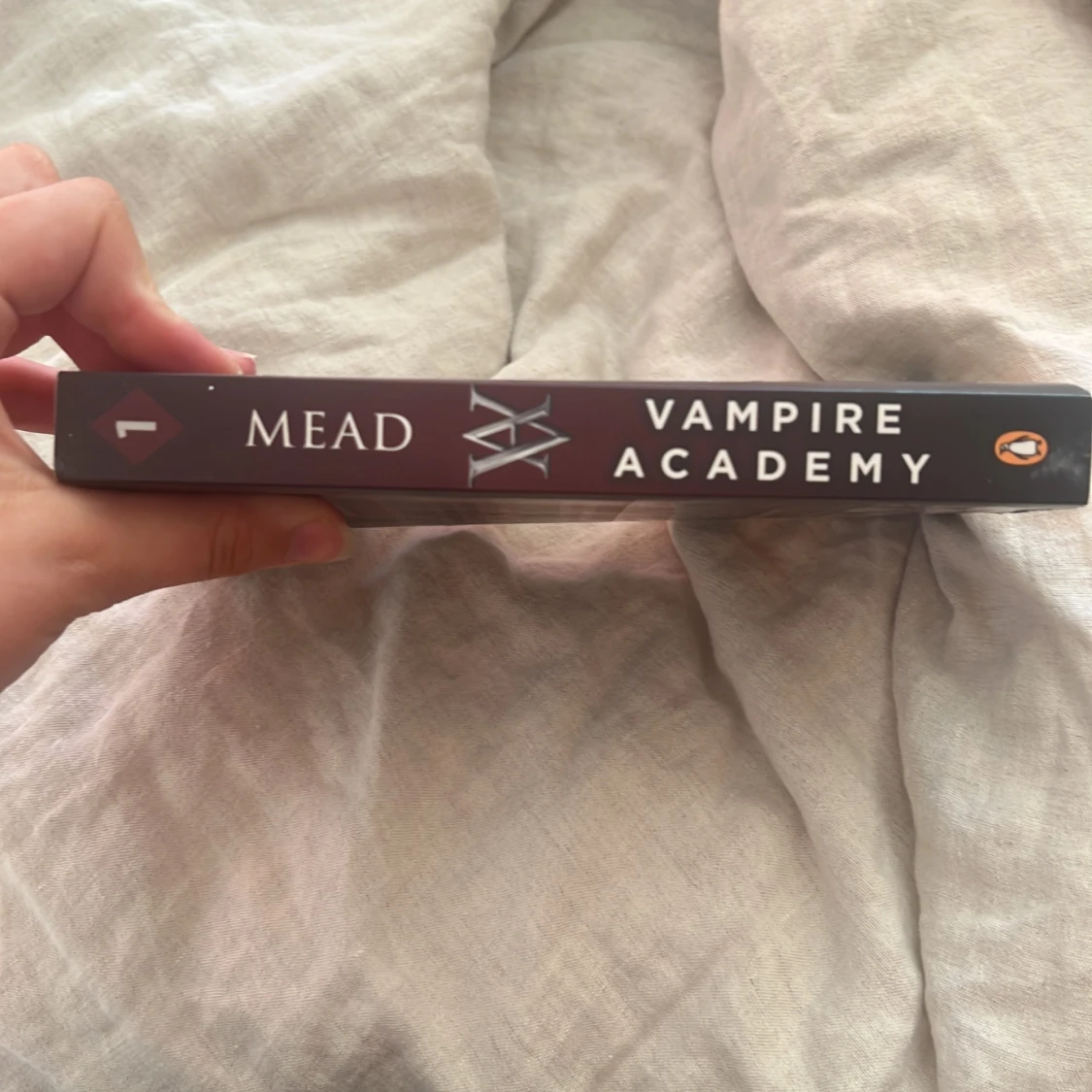 Vampire academy - 90