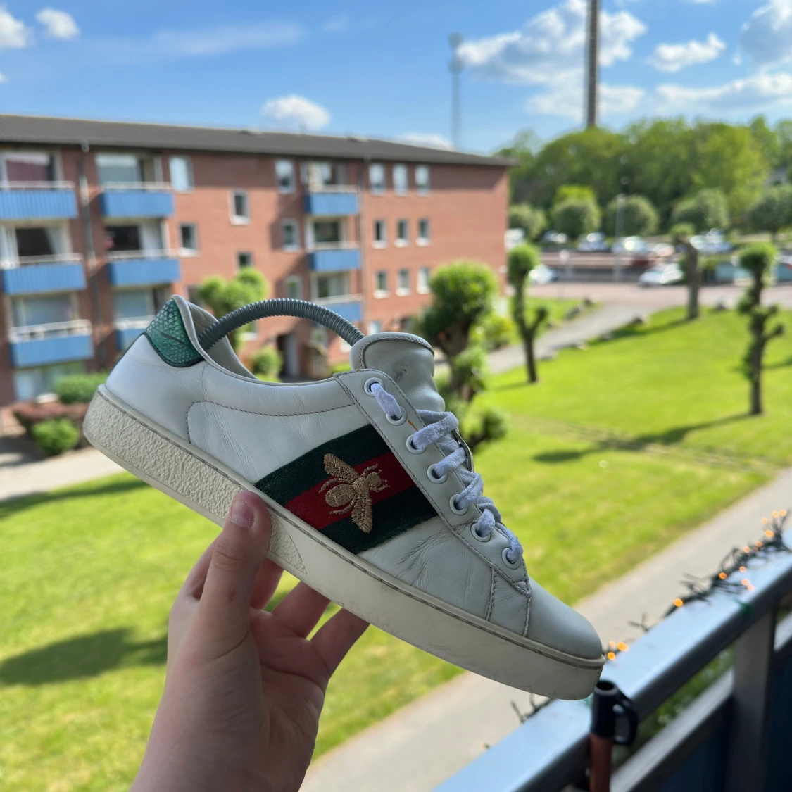 Gucci ace 