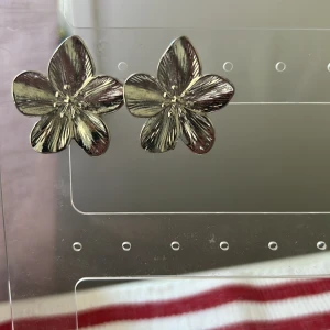 Örhängen  - Jätte snygga! Köpta här på plick men tyckte att dem inte passade mig. 💗🎀