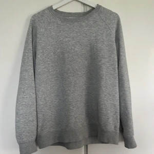 Grå sweatshirt  - Grå sweatshirt från weekday. Bra skick.
