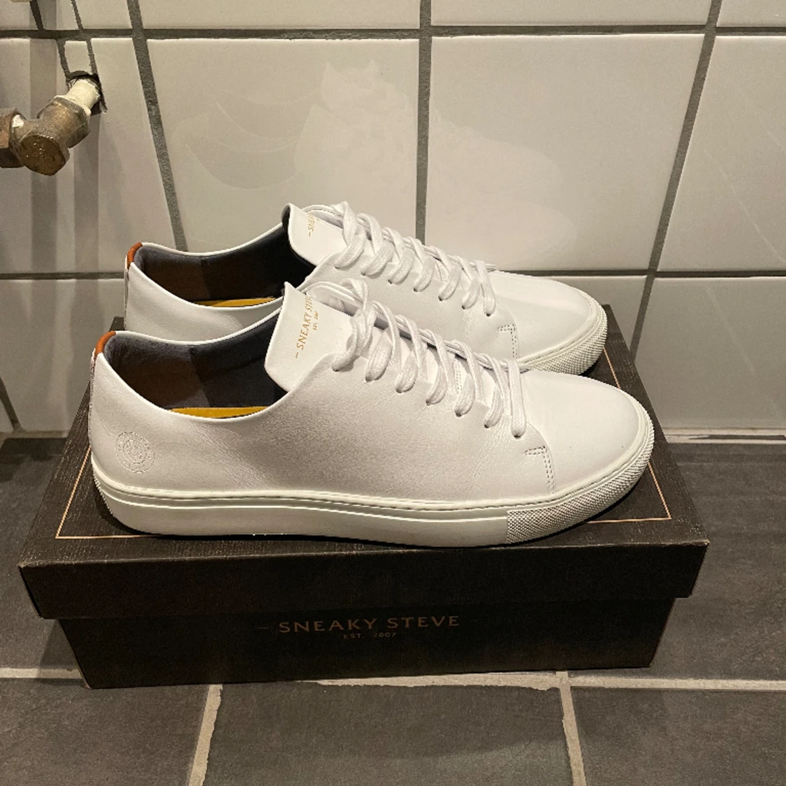 Sneaky Steve skor - 91