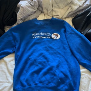 Vintage sweatshirt - Vintage sweatshirt storlek XL, kan finnas små fläckar som får bort i tvätt.