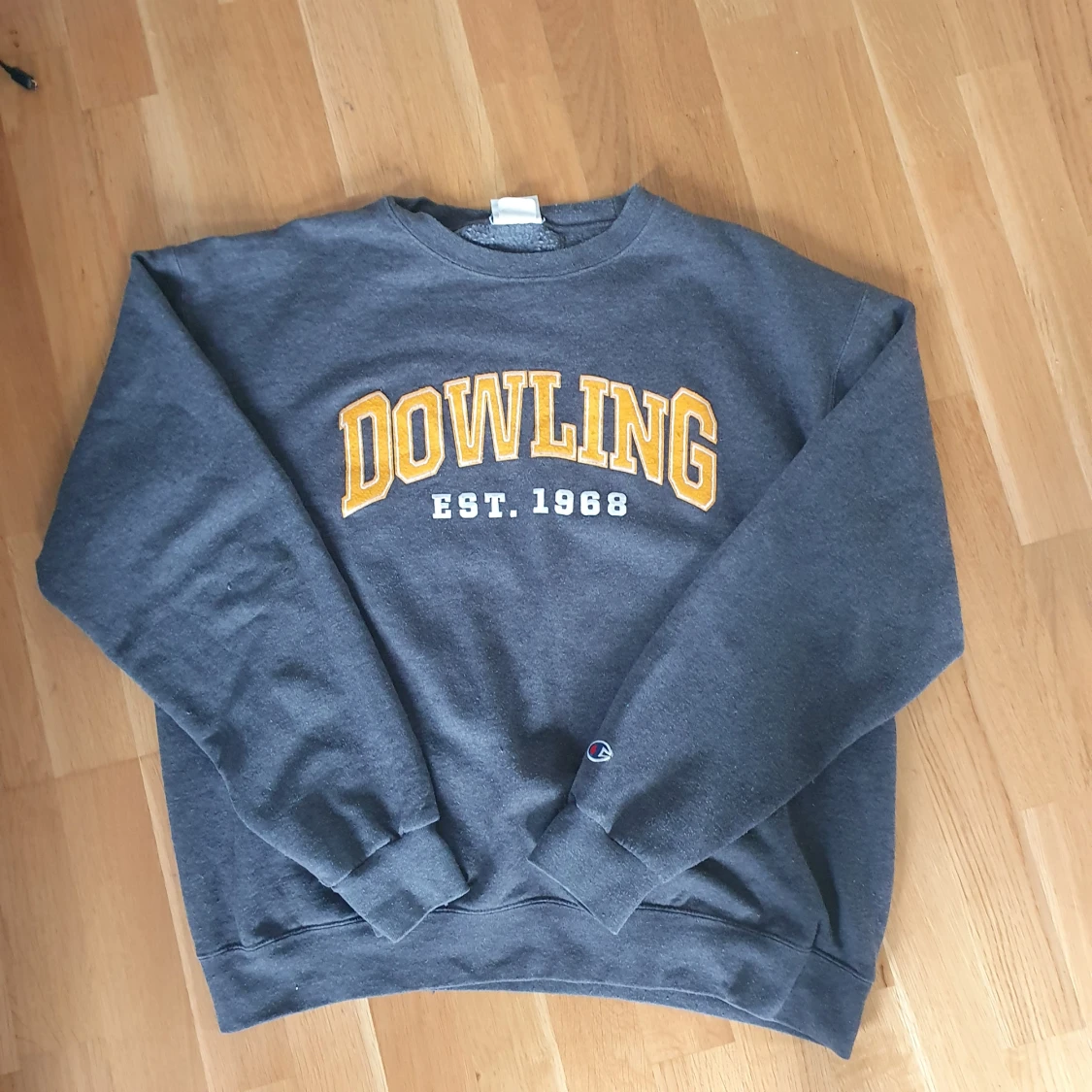Champion sweatshirt