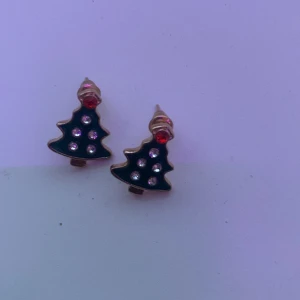 Örhängen  - Oanvända gran örhängen 