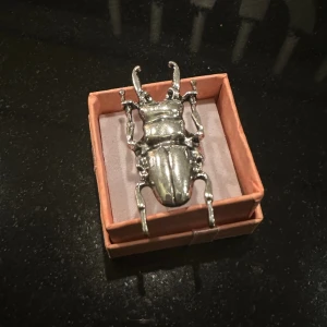 Skalbagge ring  - Jättefin unik rostfri ring ✨ Finns även i guld inne på lager  Den är även resizable 